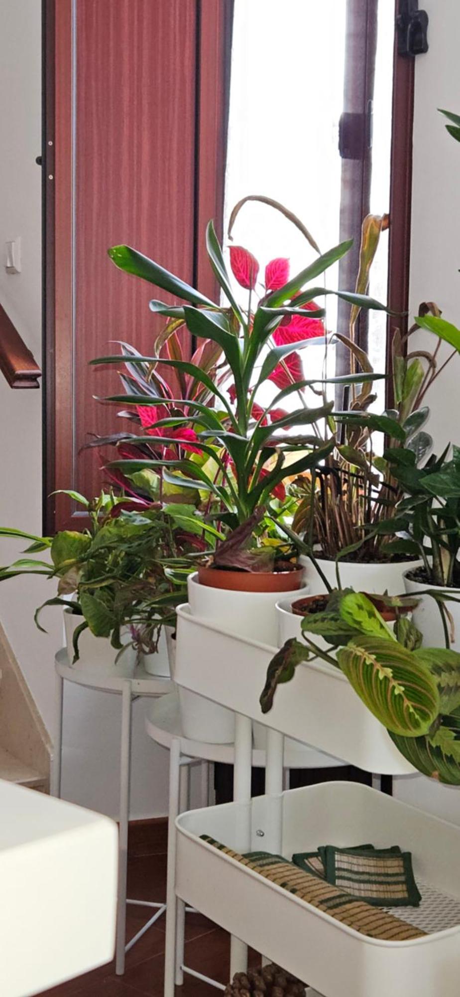 Apartamentos Los Descalzos Angel With Private Terrace Free Parking Ронда Экстерьер фото