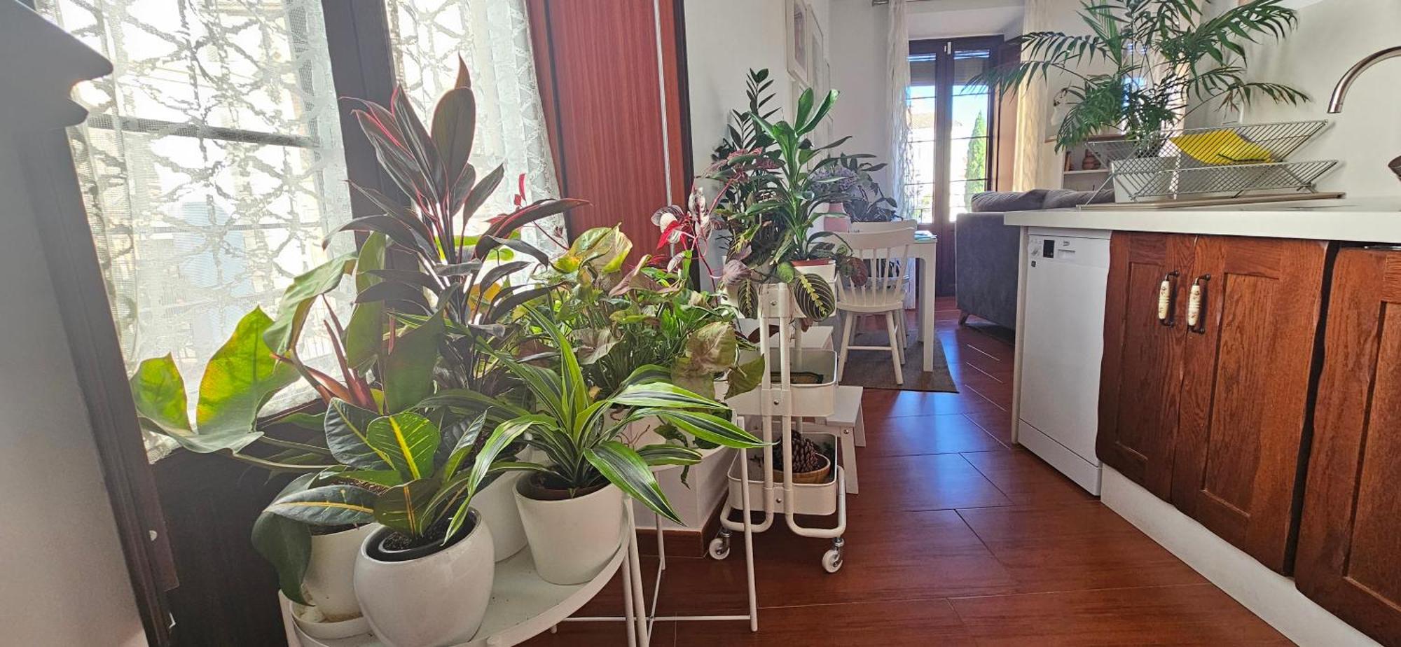 Apartamentos Los Descalzos Angel With Private Terrace Free Parking Ронда Экстерьер фото
