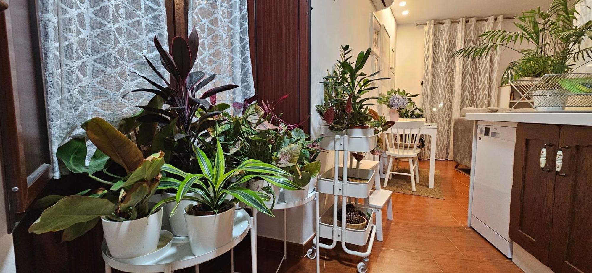 Apartamentos Los Descalzos Angel With Private Terrace Free Parking Ронда Экстерьер фото